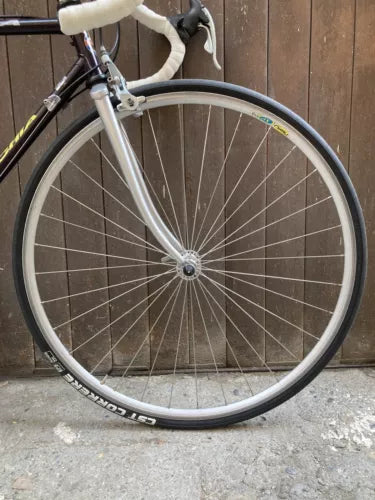 Bicicletta vintage Bottecchia Corsa 989, tg.53. Campagnolo mix.